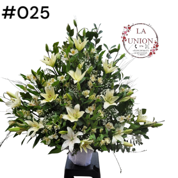 Photoroom-20250518_105006_28