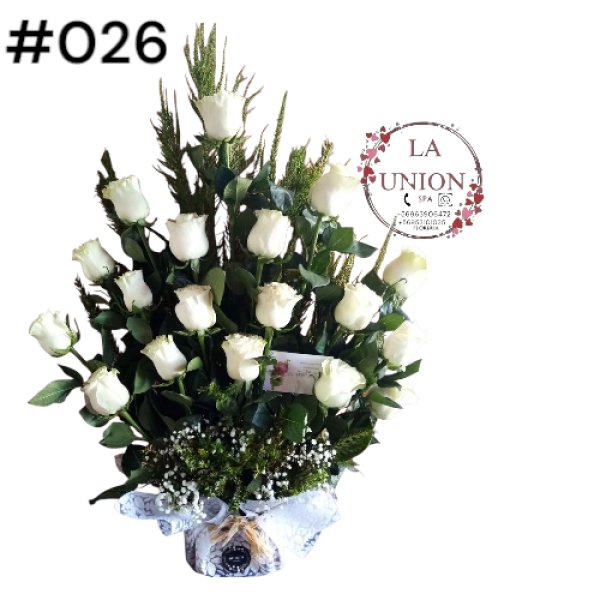 Photoroom-20250518_105006_30