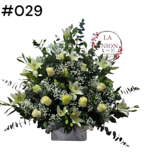 Photoroom-20250518_105006_34