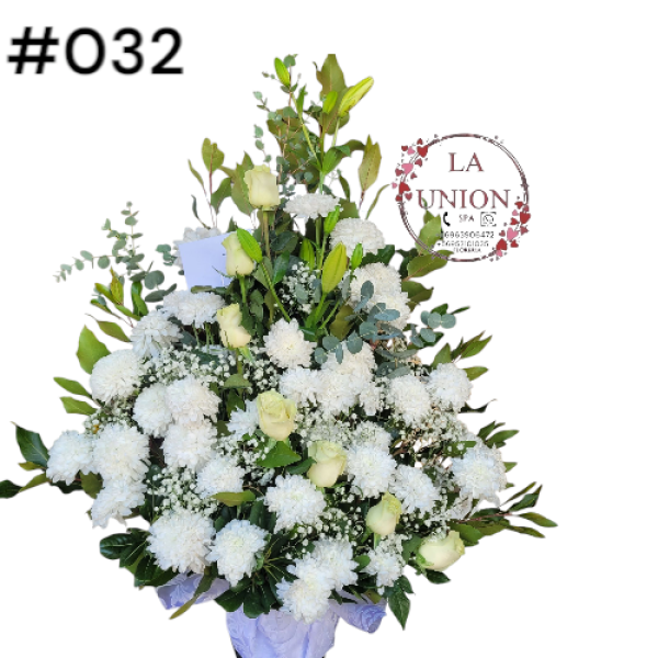 Photoroom-20250518_105007_37