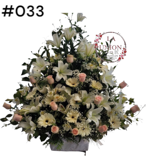 Photoroom-20250518_105007_38