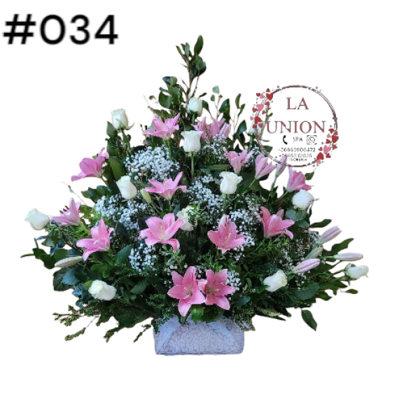 Photoroom-20250518_105007_39