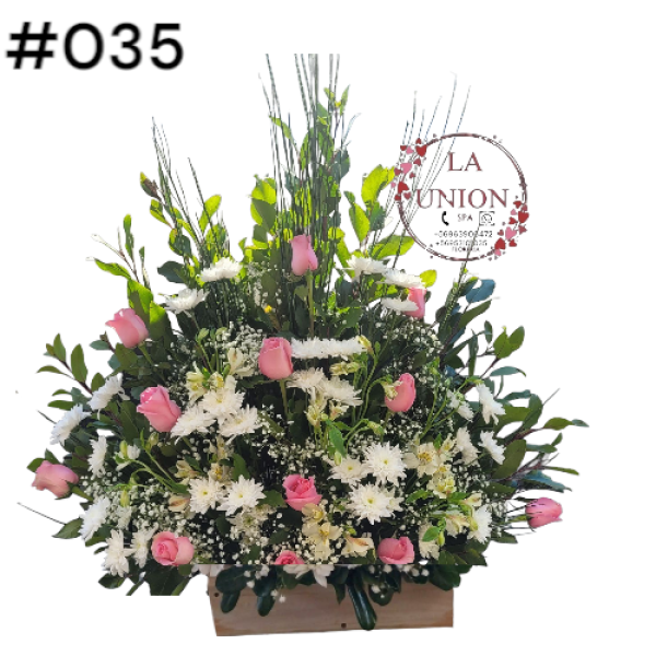 Photoroom-20250518_105007_40