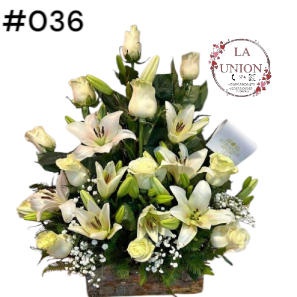 Photoroom-20250518_105007_41