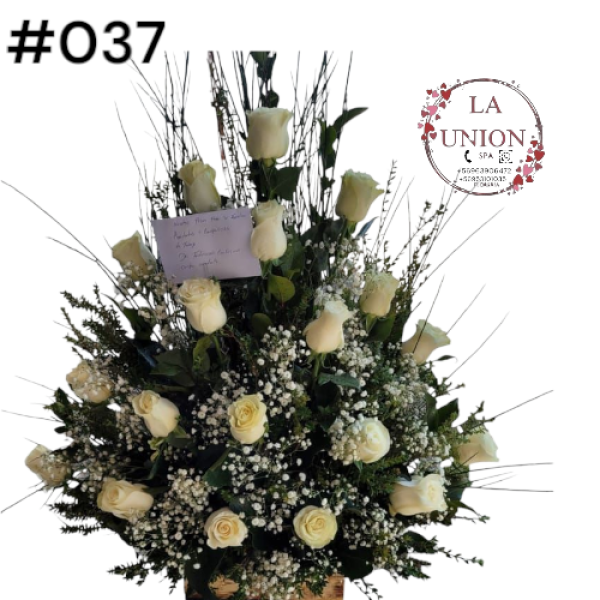 Photoroom-20250518_105007_42