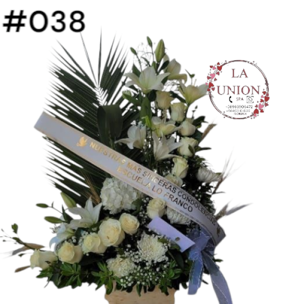 Photoroom-20250518_105007_43