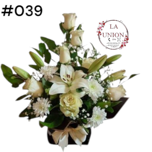 Photoroom-20250518_105007_44