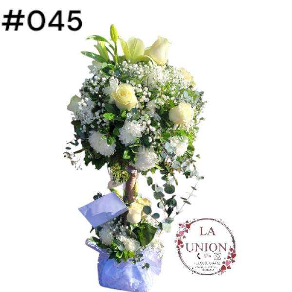 Photoroom-20250518_105007_50