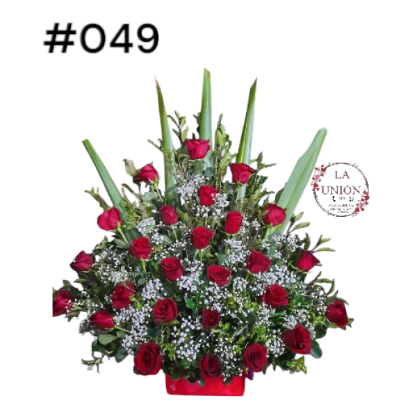 Photoroom-20250518_155509_1