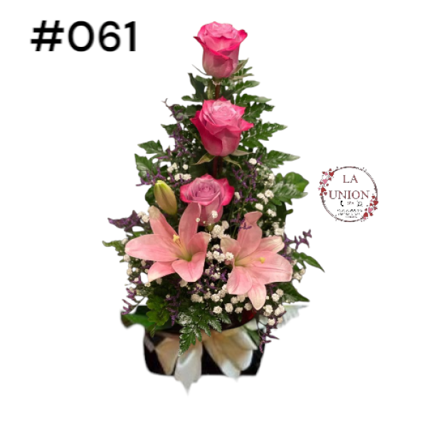 Photoroom-20250518_155510_15