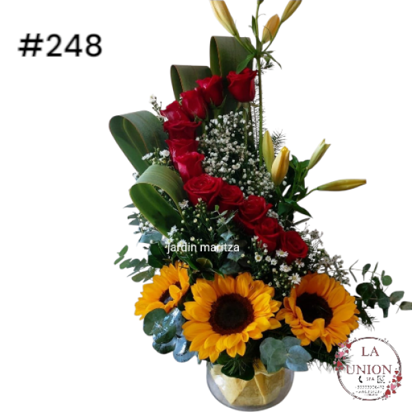 Photoroom-20250519_112552_13