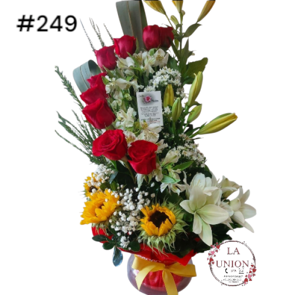 Photoroom-20250519_112552_14