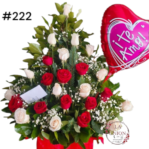 Photoroom-20250519_112553_25