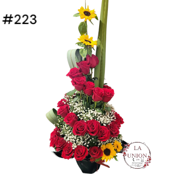 Photoroom-20250519_112553_26