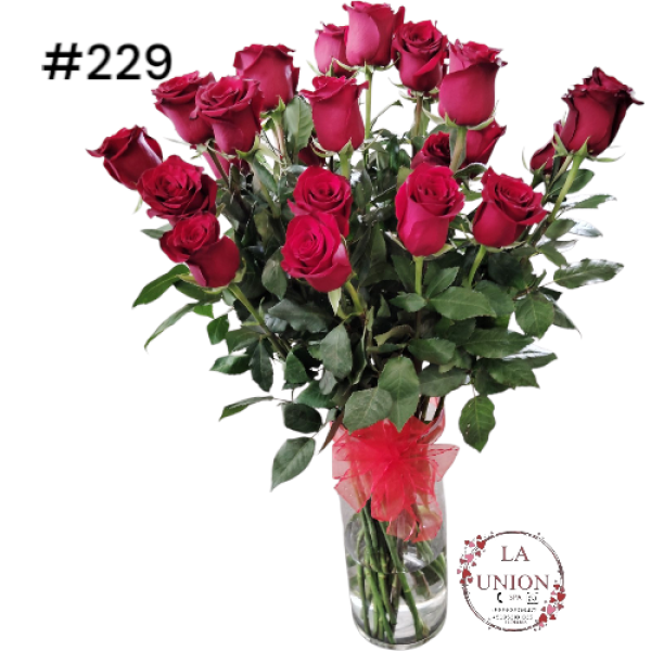 Photoroom-20250519_112553_32