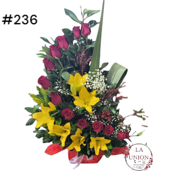 Photoroom-20250519_112554_39