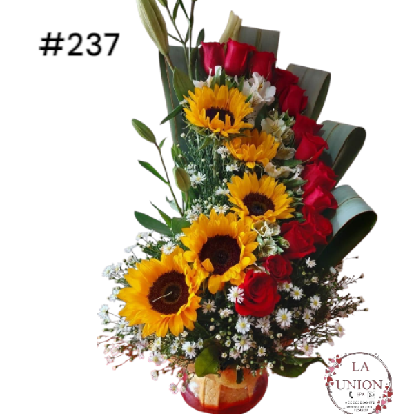 Photoroom-20250519_112554_40