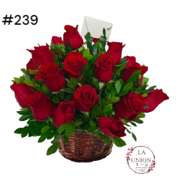 Photoroom-20250519_112554_42