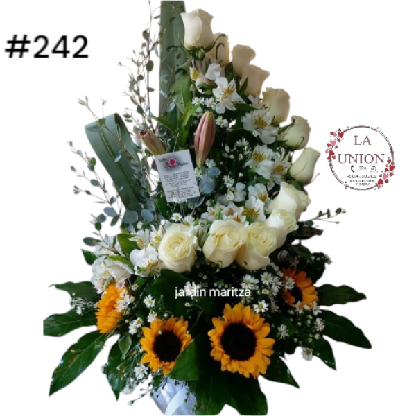 Photoroom-20250519_112554_45