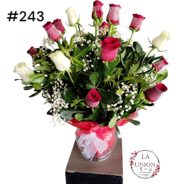 Photoroom-20250519_112554_46