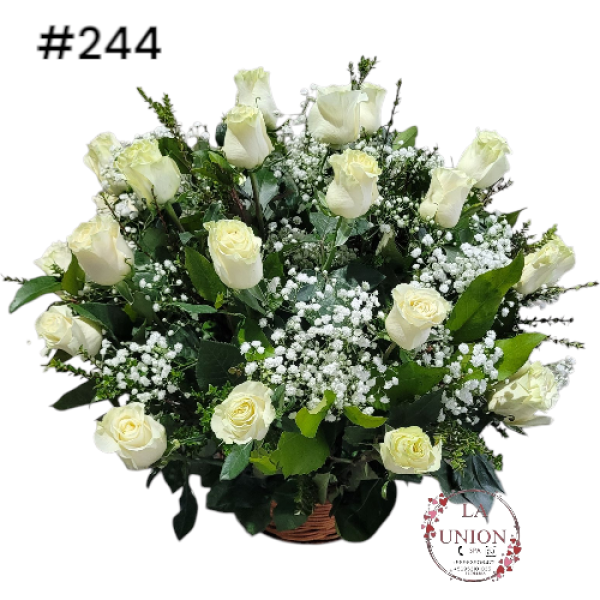 Photoroom-20250519_112554_47