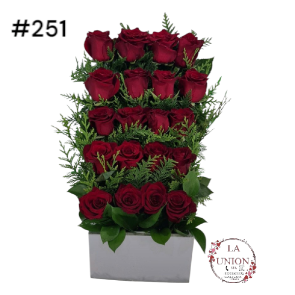 Photoroom-20250519_163005_2