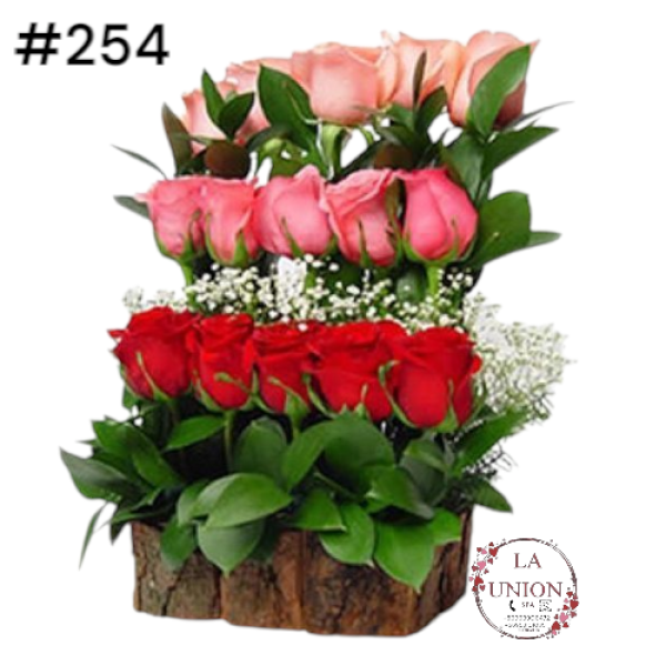 Photoroom-20250519_163005_5