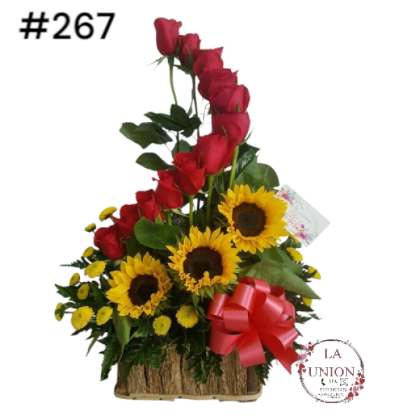 Photoroom-20250519_163006_12