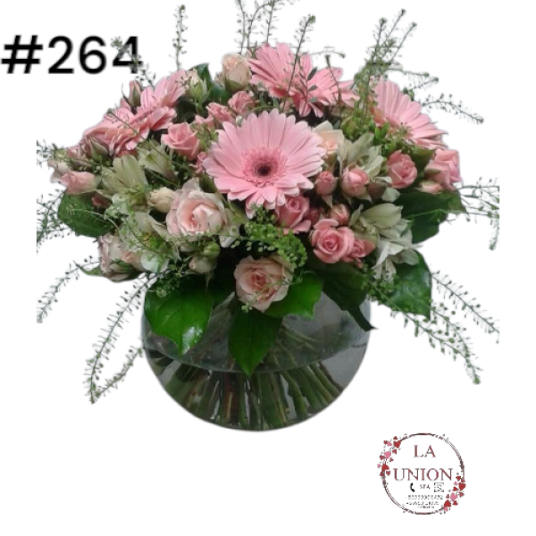 Photoroom-20250519_163006_16