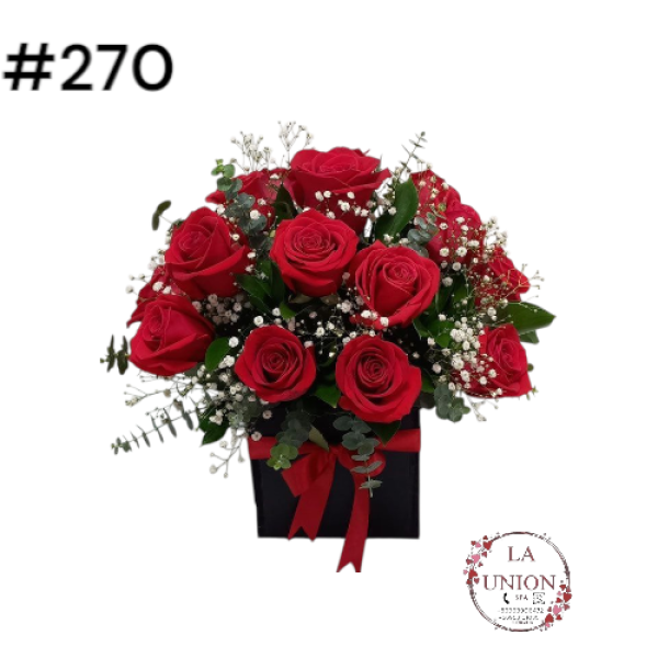 Photoroom-20250519_163006_21