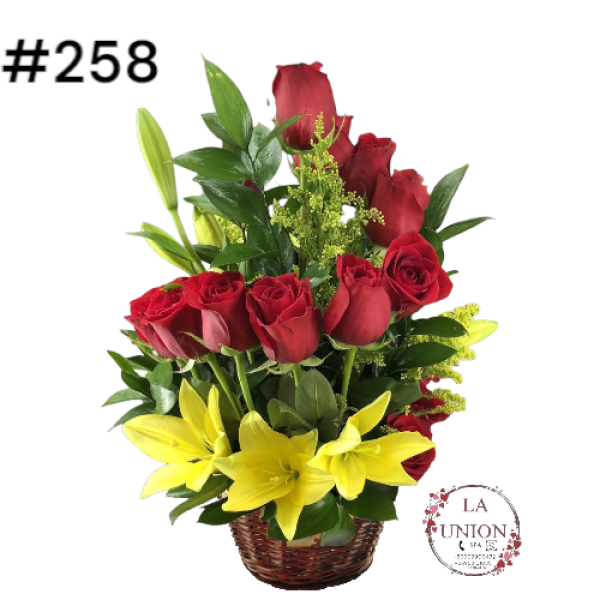 Photoroom-20250519_163006_9