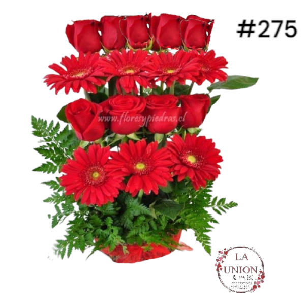 Photoroom-20250519_163007_27