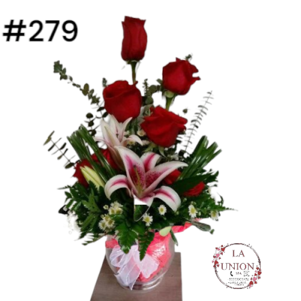 Photoroom-20250519_163007_30