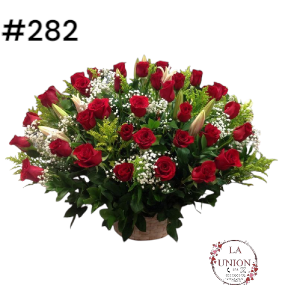 Photoroom-20250519_163007_33