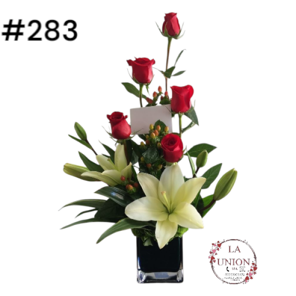 Photoroom-20250519_163008_34