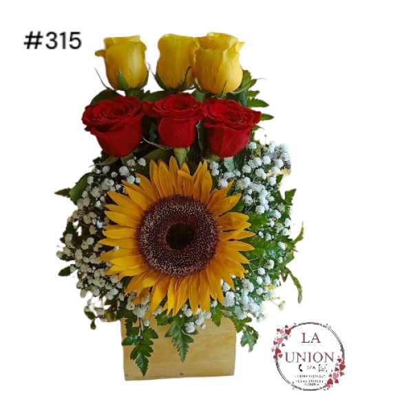 Photoroom-20250520_210927_5