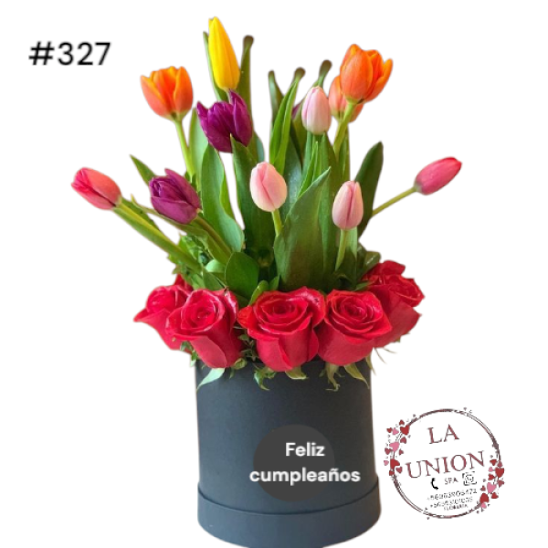 Photoroom-20250520_210928_17