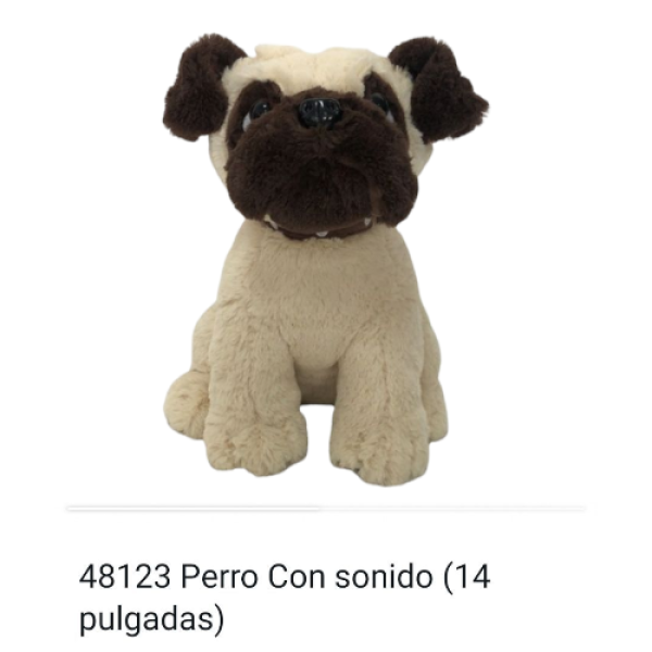 Photoroom-20250522_113447_5