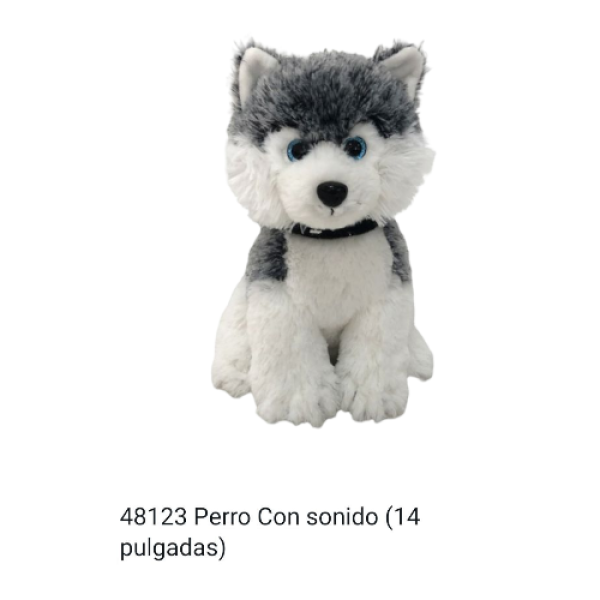 Photoroom-20250522_113448_11