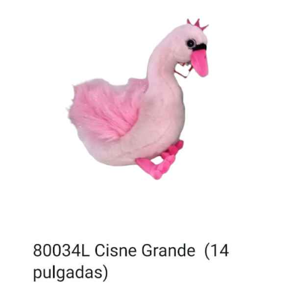 Photoroom-20250522_113449_24