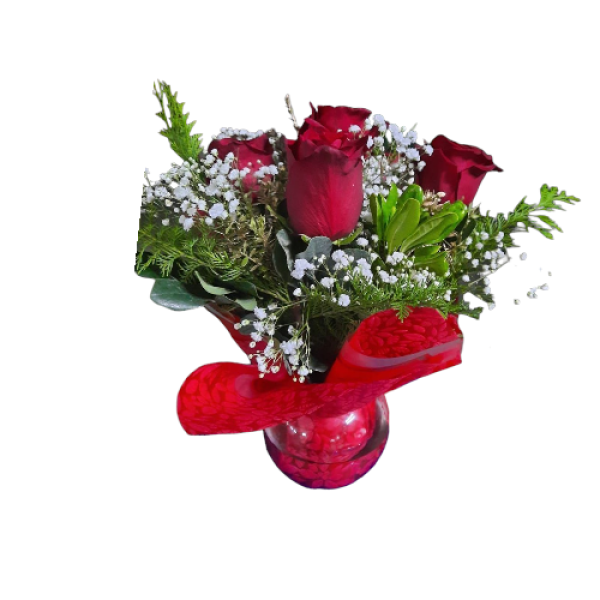 Photoroom-20250925_010211_3