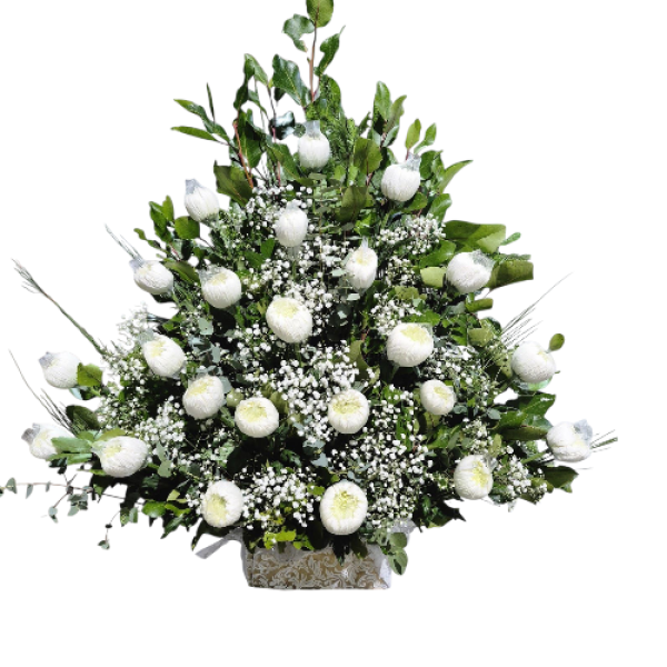 Photoroom-20250925_010213_36