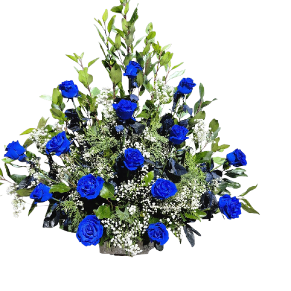 Photoroom-20250925_010213_37