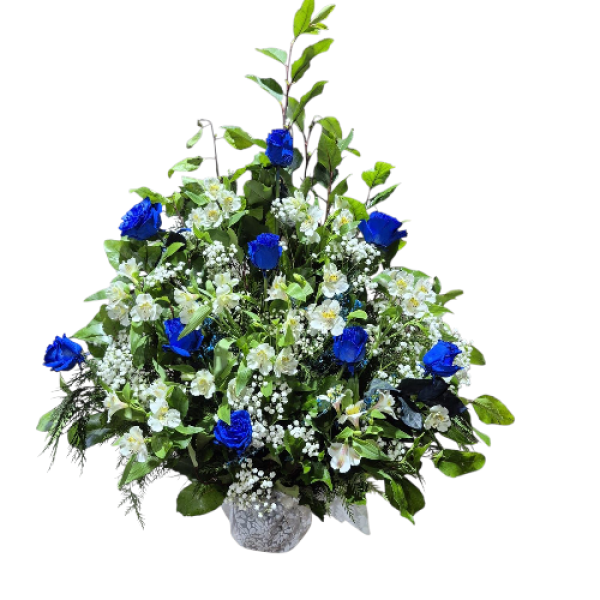 Photoroom-20250925_010213_38