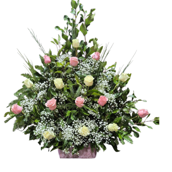 Photoroom-20250925_010213_39