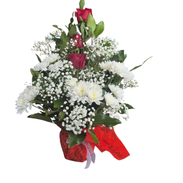 Photoroom-20250925_010213_45