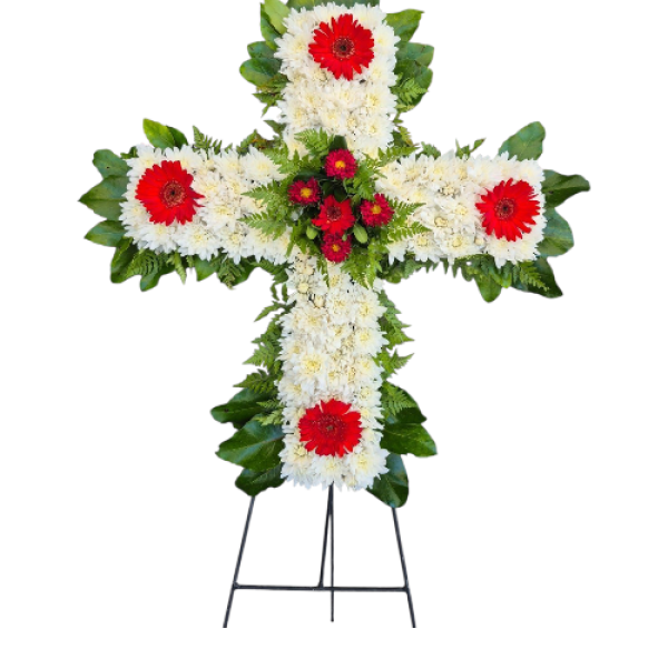 Photoroom-20250925_012312_4