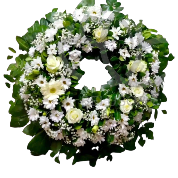 Photoroom-20250925_012312_7