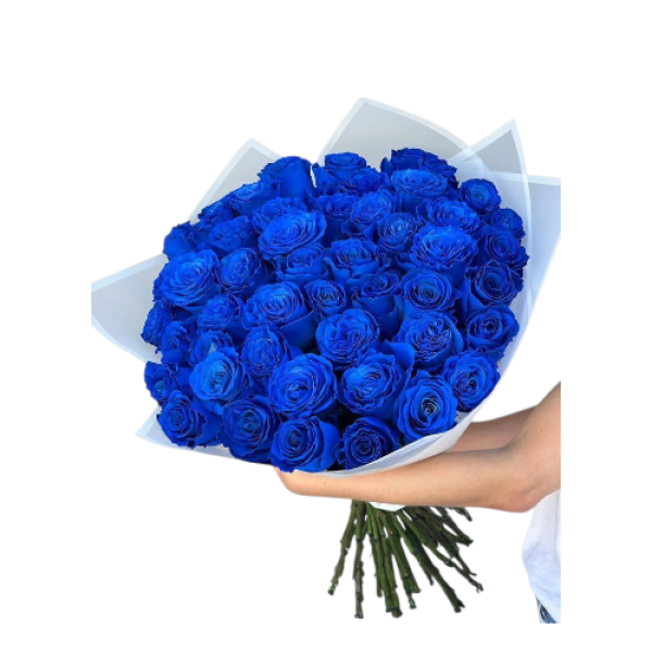 Photoroom-20251002_080418_15