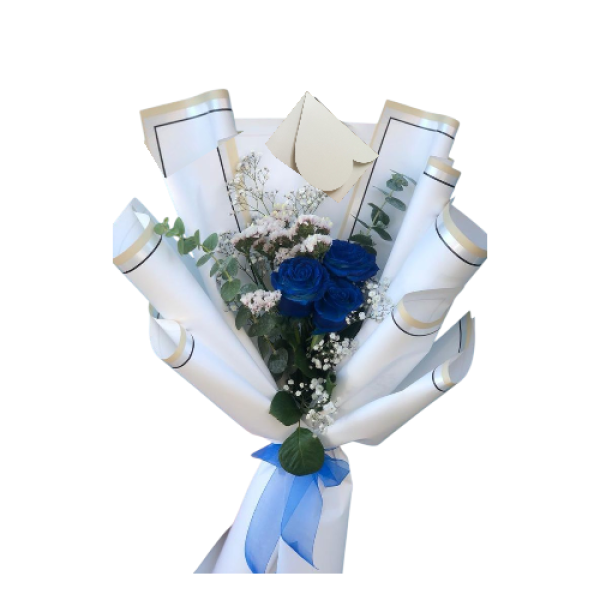 Photoroom-20251002_080419_16